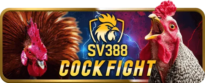Quy trình đăng ký và bắt đầu chơi slot game tại 79king1 win