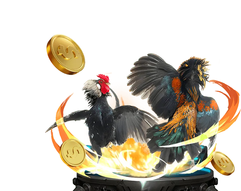 Giao diện đặt cược đá gà 79king1 Win